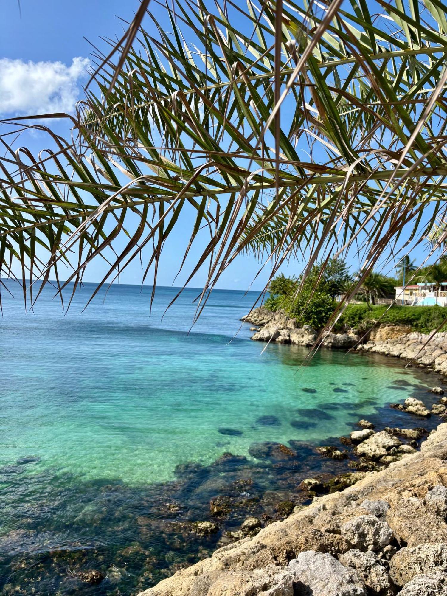 Gîtes à Anse-Bertrand Esterno foto